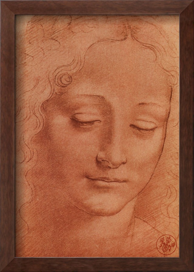 Testa di Giovinetta By Leonardo Da Vinci